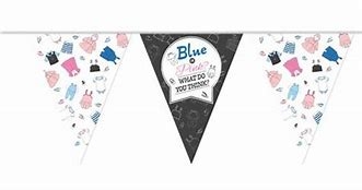 VLAGGENLIJN GENDER REVEAL PE 10M ()